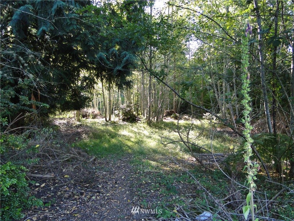 9421 Misery Point Road Northwest Seabeck, WA 98380 - Photo 9 of 25 Gallery Image 9