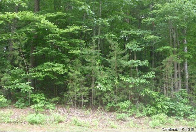 1-02 St Marks Church Road Crouse, NC 28033 - Photo 1 of 2 Gallery Image 1