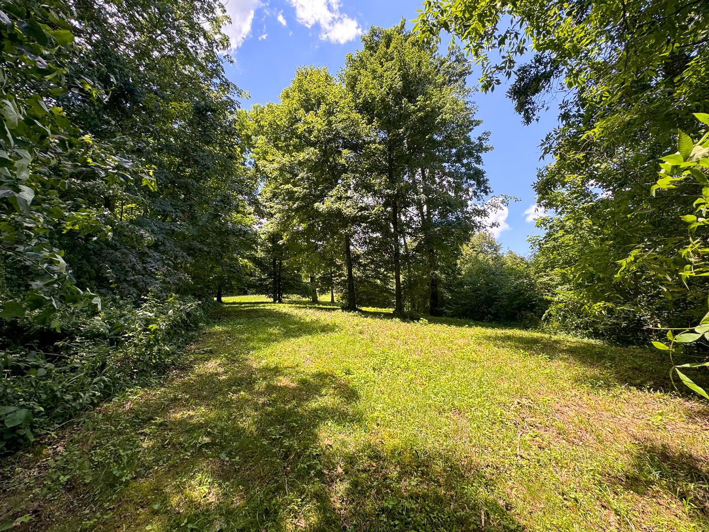 4313 Flint Ridge Road Northeast, Unit INT RIDGE TRACT 18 ACRE) Crooksville, OH 43731 - Photo 44 of 53 CT-44