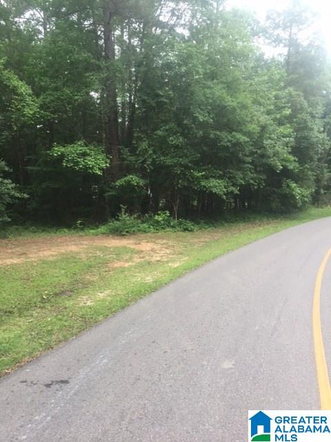 0 Mays Bend Road, Unit 26 Pell City, AL 35128 - Photo 12 of 16