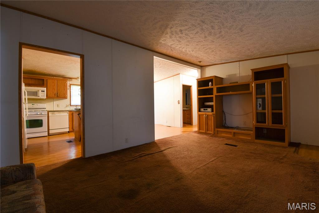 10970 Cordum Avenue Gillespie, IL 62033 - Photo 11 of 29