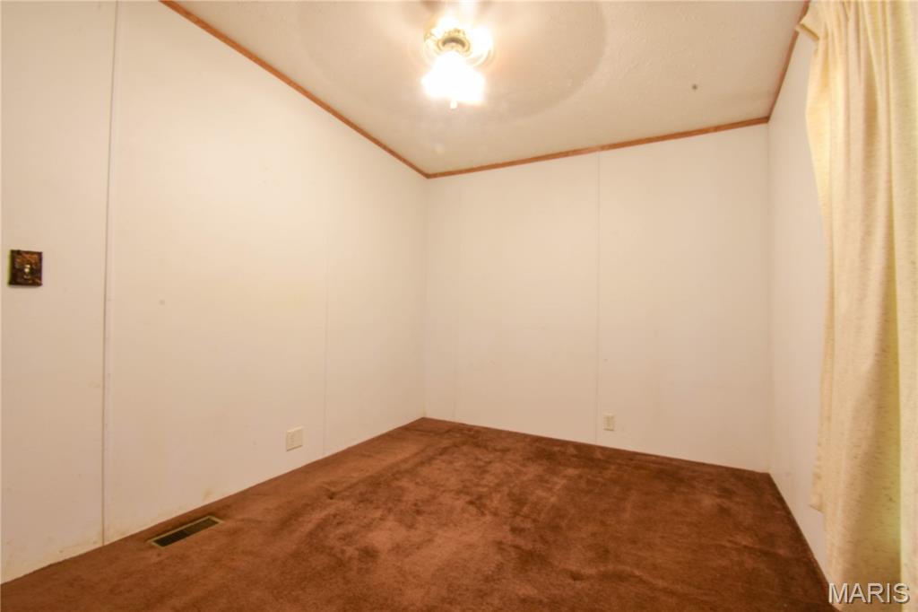 10970 Cordum Avenue Gillespie, IL 62033 - Photo 28 of 29