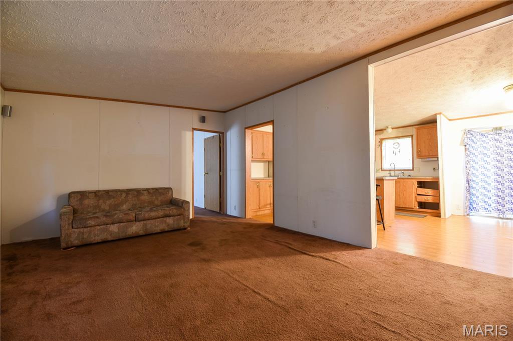 10970 Cordum Avenue Gillespie, IL 62033 - Photo 10 of 29