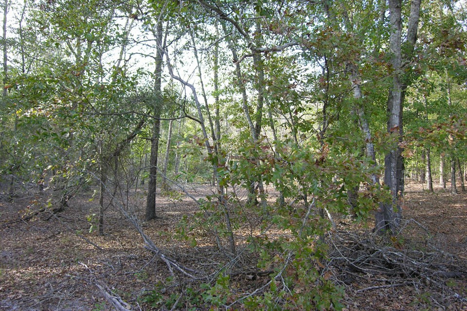 580 Wright Allen Road Hephzibah, GA 30815 - Photo 11 of 47 Gallery Image 11