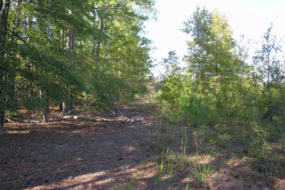580 Wright Allen Road Hephzibah, GA 30815 - Photo 13 of 47 Gallery Image 13