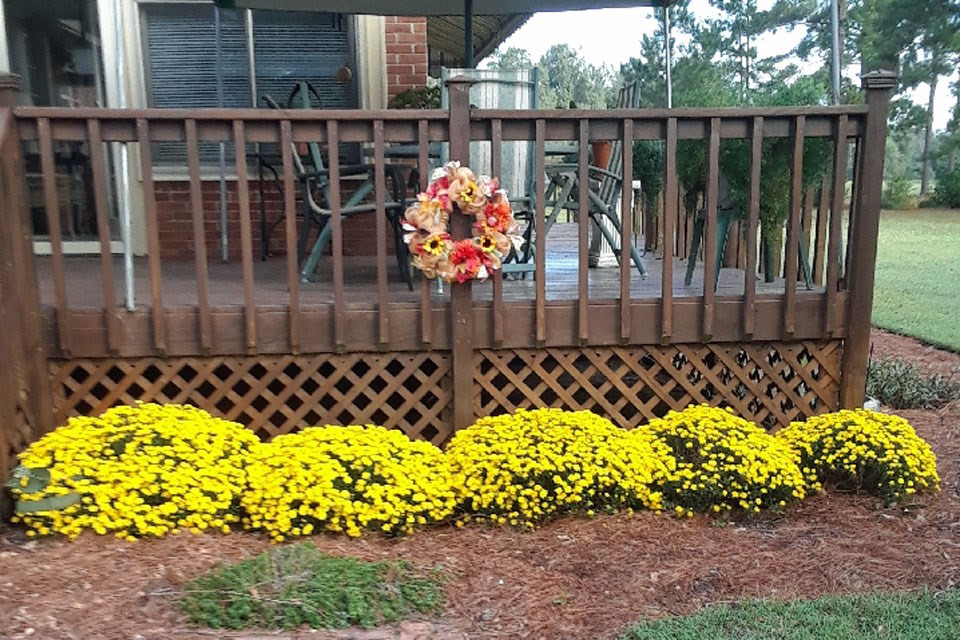 580 Wright Allen Road Hephzibah, GA 30815 - Photo 44 of 47 Gallery Image 44