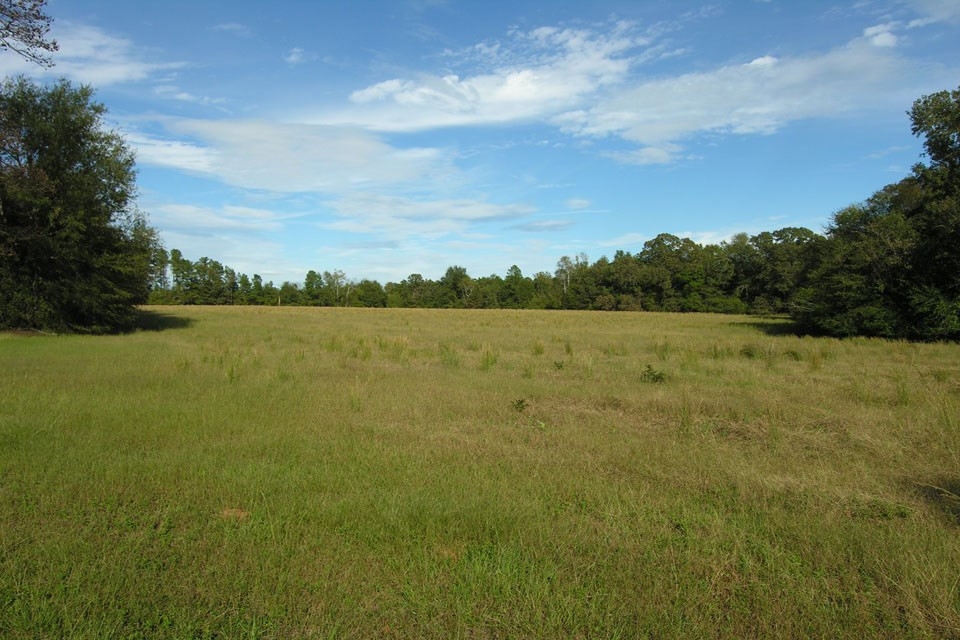 580 Wright Allen Road Hephzibah, GA 30815 - Photo 5 of 47 Gallery Image 5