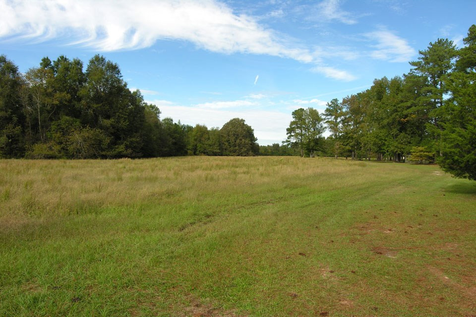 580 Wright Allen Road Hephzibah, GA 30815 - Photo 6 of 47 Gallery Image 6