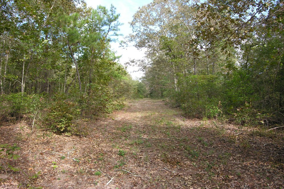 580 Wright Allen Road Hephzibah, GA 30815 - Photo 8 of 47 Gallery Image 8