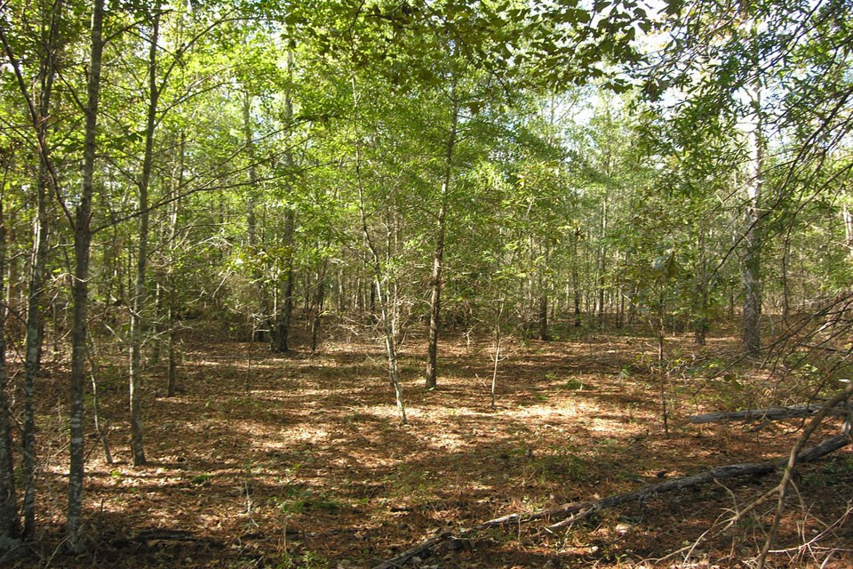 580 Wright Allen Road Hephzibah, GA 30815 - Photo 9 of 47 Gallery Image 9