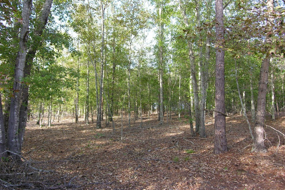 580 Wright Allen Road Hephzibah, GA 30815 - Photo 10 of 47 Gallery Image 10
