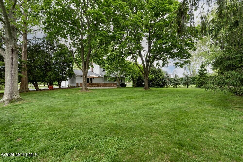 240 Randolph Road Freehold, NJ 07728 - Photo 36 of 41 Back Yard