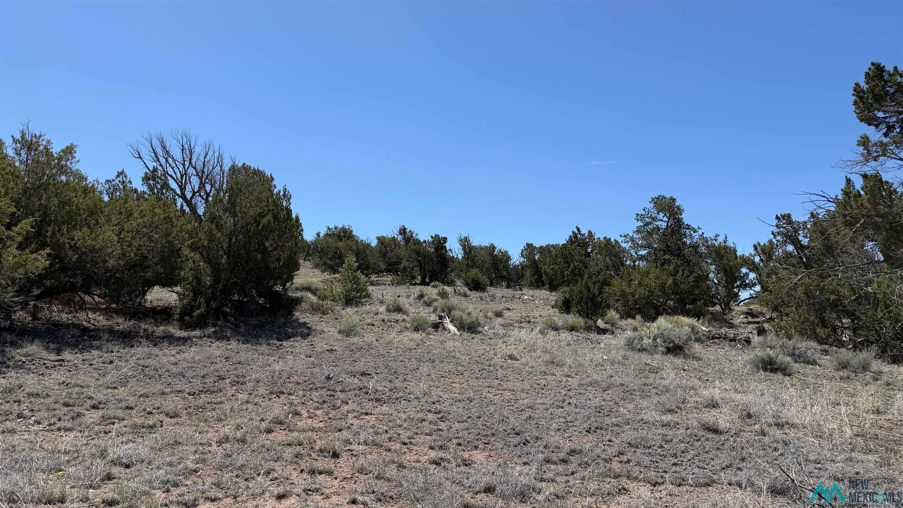 Tbd Tbd Pima Road Quemado, NM 87829 - Photo 1 of 11