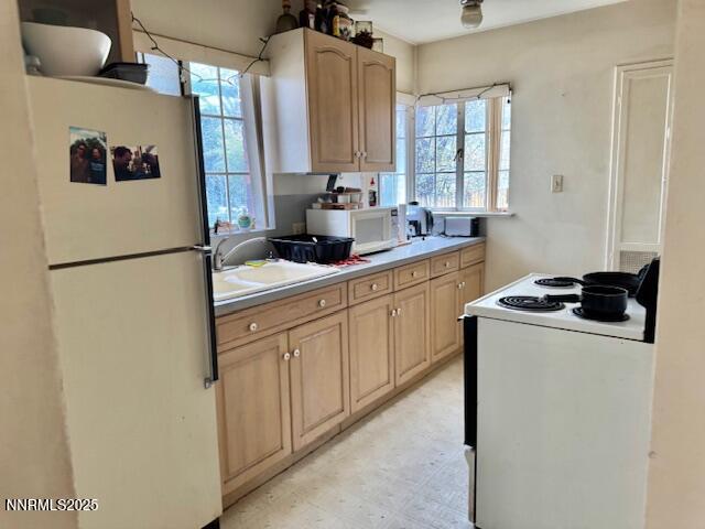 590 St Lawrence Avenue Reno, NV 89509 - Photo 70 of 75 IMG_8494