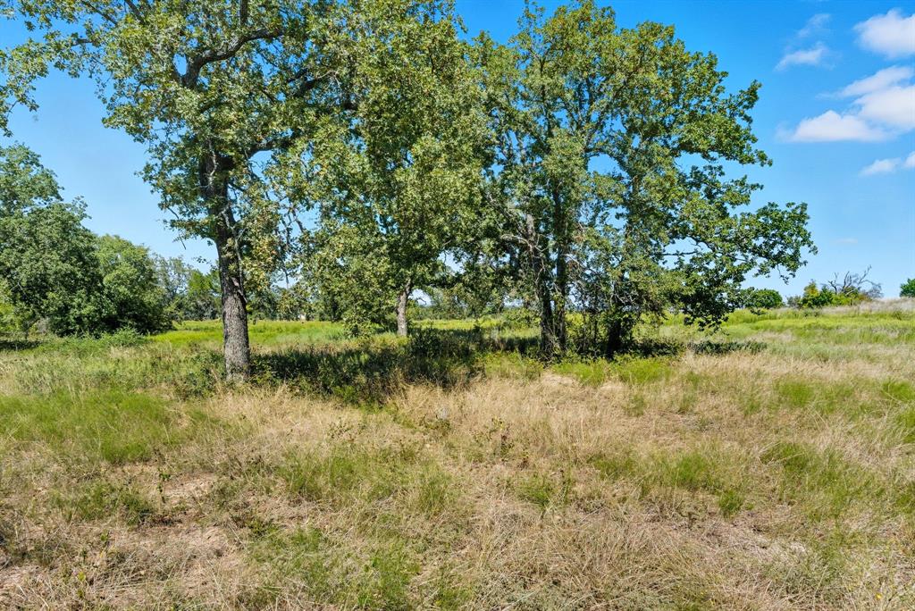 113 Homestead Court Lipan, TX 76462 - Photo 2 of 21 a view of lake with green space
