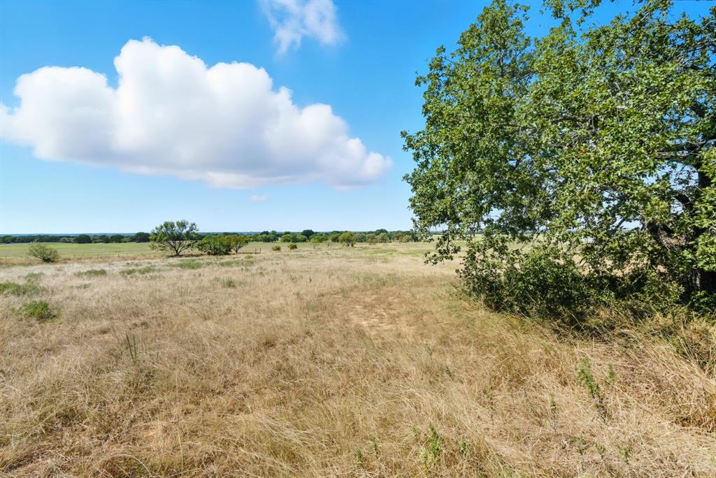 113 Homestead Court Lipan, TX 76462 - Photo 3 of 21