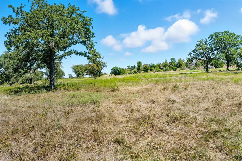 113 Homestead Court Lipan, TX 76462 - Photo 4 of 21 a view of a trees yard and mountain view in back