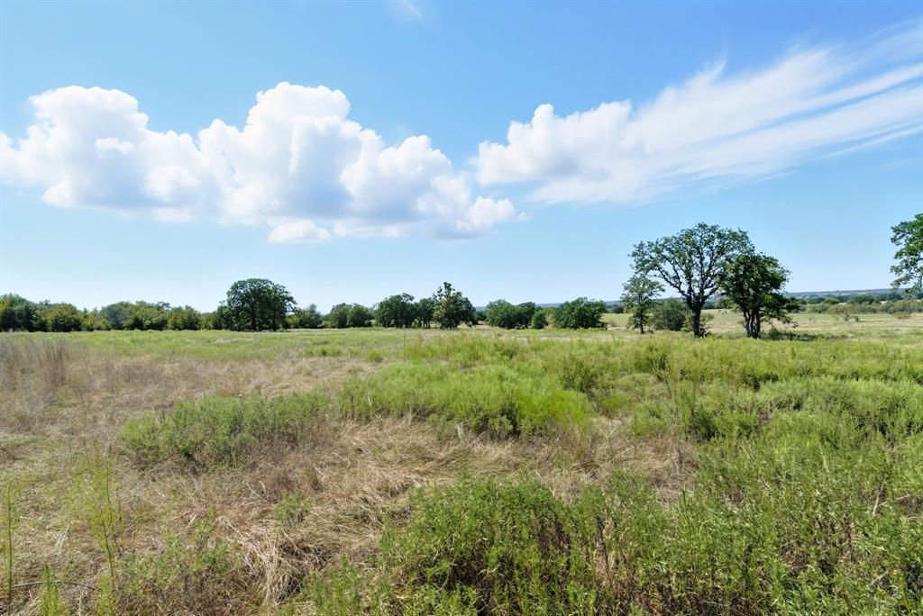 113 Homestead Court Lipan, TX 76462 - Photo 7 of 21 a view of lake with green space