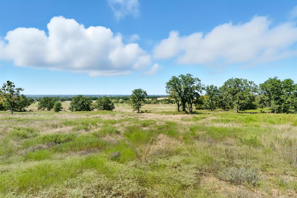 113 Homestead Court Lipan, TX 76462 - Photo 8 of 21 a view of a big yard with large trees