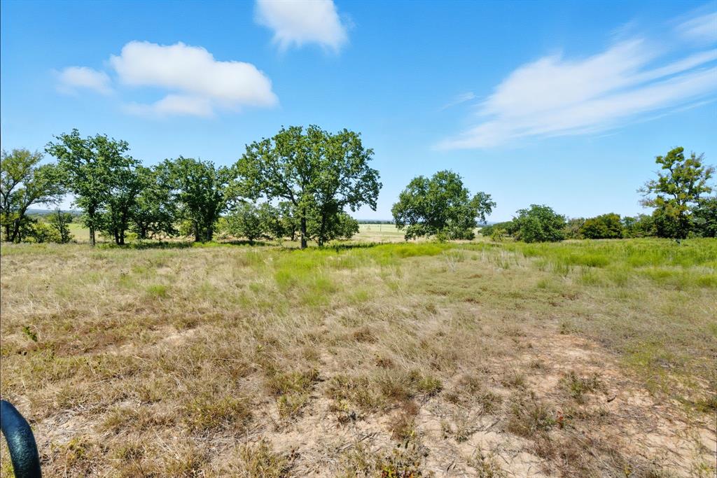 113 Homestead Court Lipan, TX 76462 - Photo 10 of 21 a view of a field with an trees in the background
