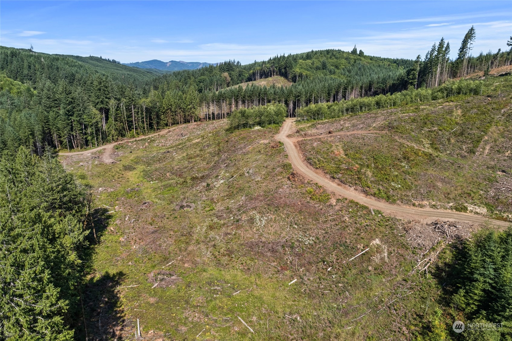 3 Bunker Creek Road Chehalis, WA 98532 - Photo 6 of 15 a view of a dry yard with mountains in the background