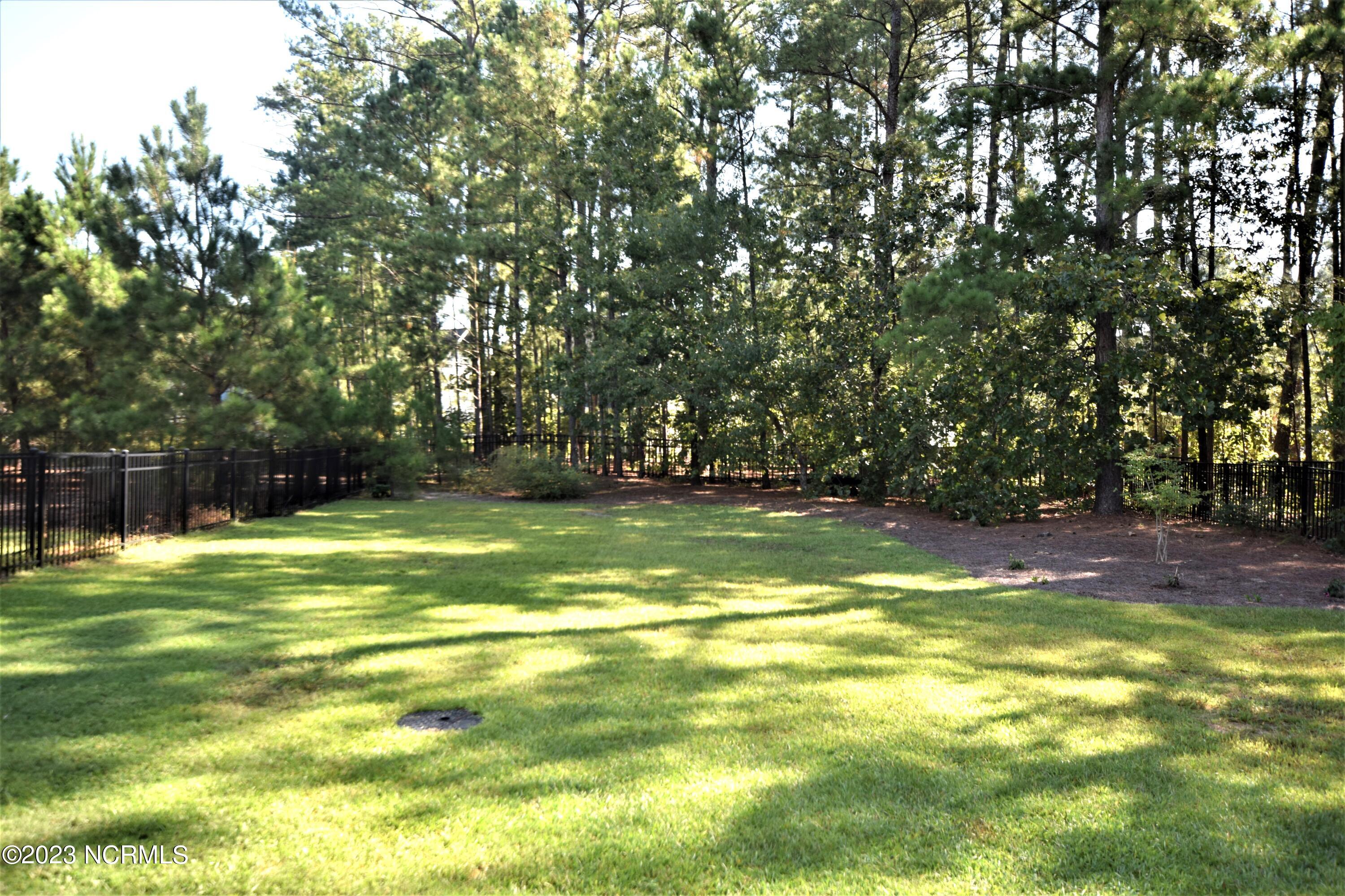 398 Kerr Lake Road Aberdeen, NC 28315 - Photo 29 of 37 Fenced Backyard