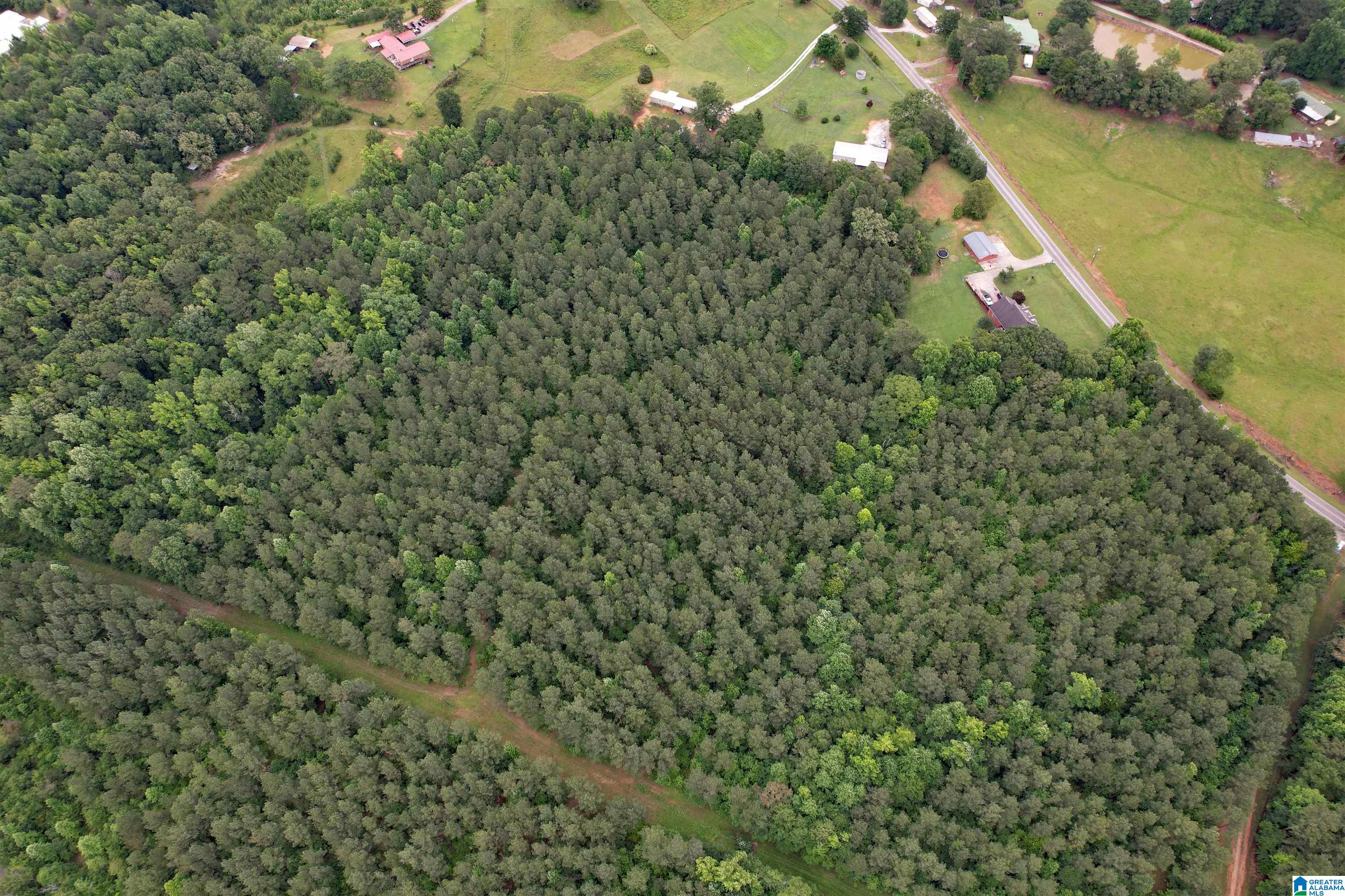 0 Houston Road Sylacauga, AL 35151 - Photo 25 of 32