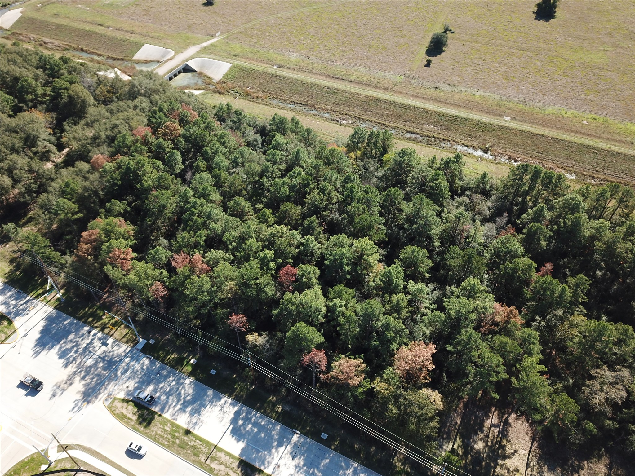 0 Holderrieth Road Tomball, TX 77375 - Photo 6 of 7