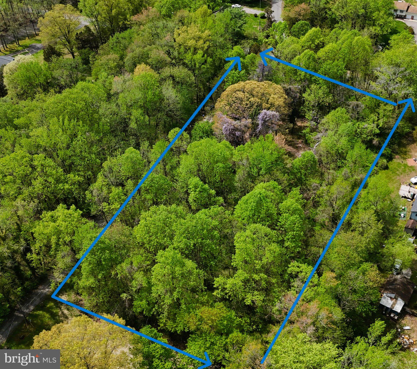 4111 Old Muddy Creek Road Edgewater, MD 21037 - Photo 3 of 20 Lush green oasis awaits your vision.