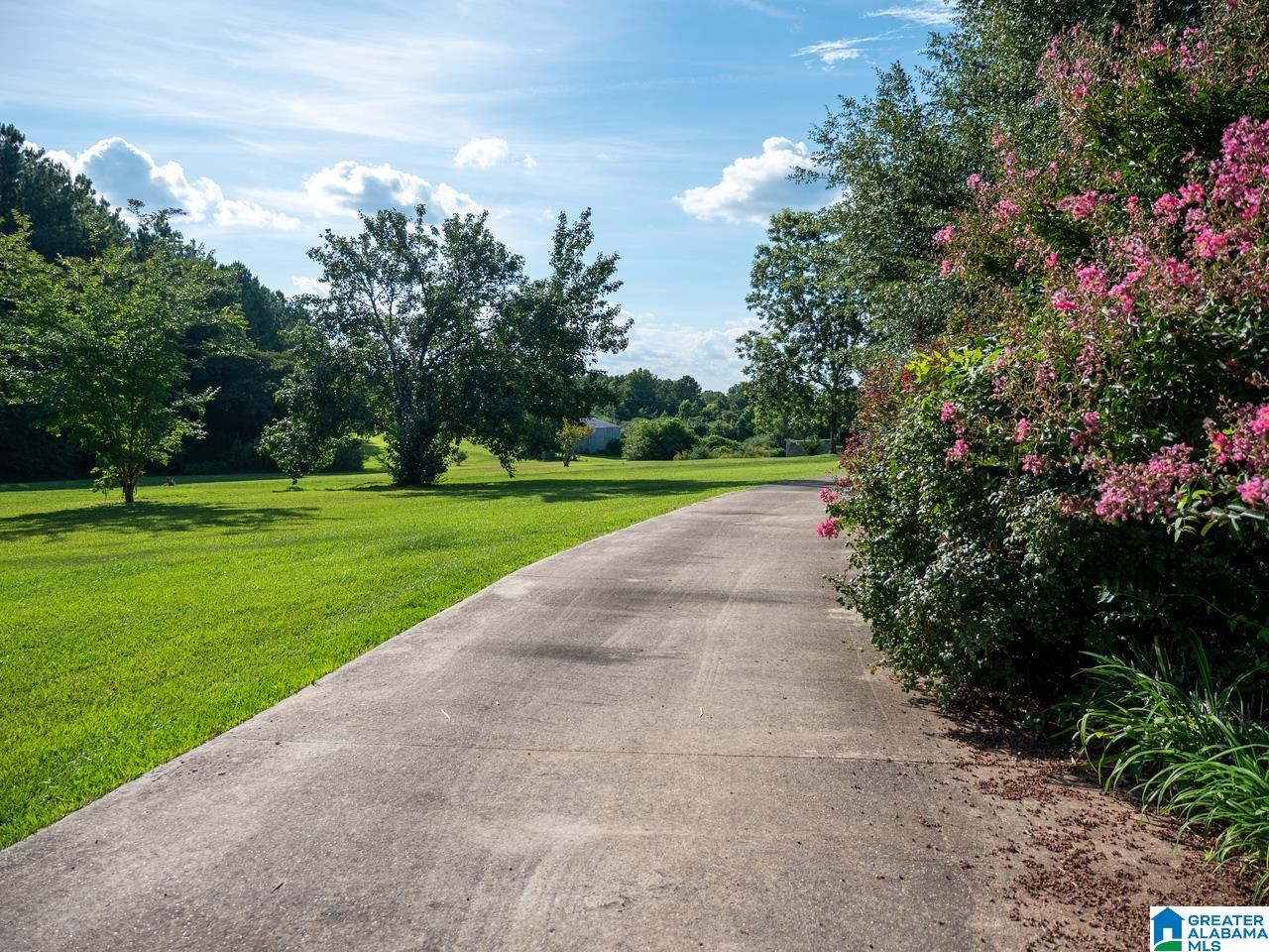 5015 Highway 24 Springville Al Springville, AL 35146 - Photo 42 of 44