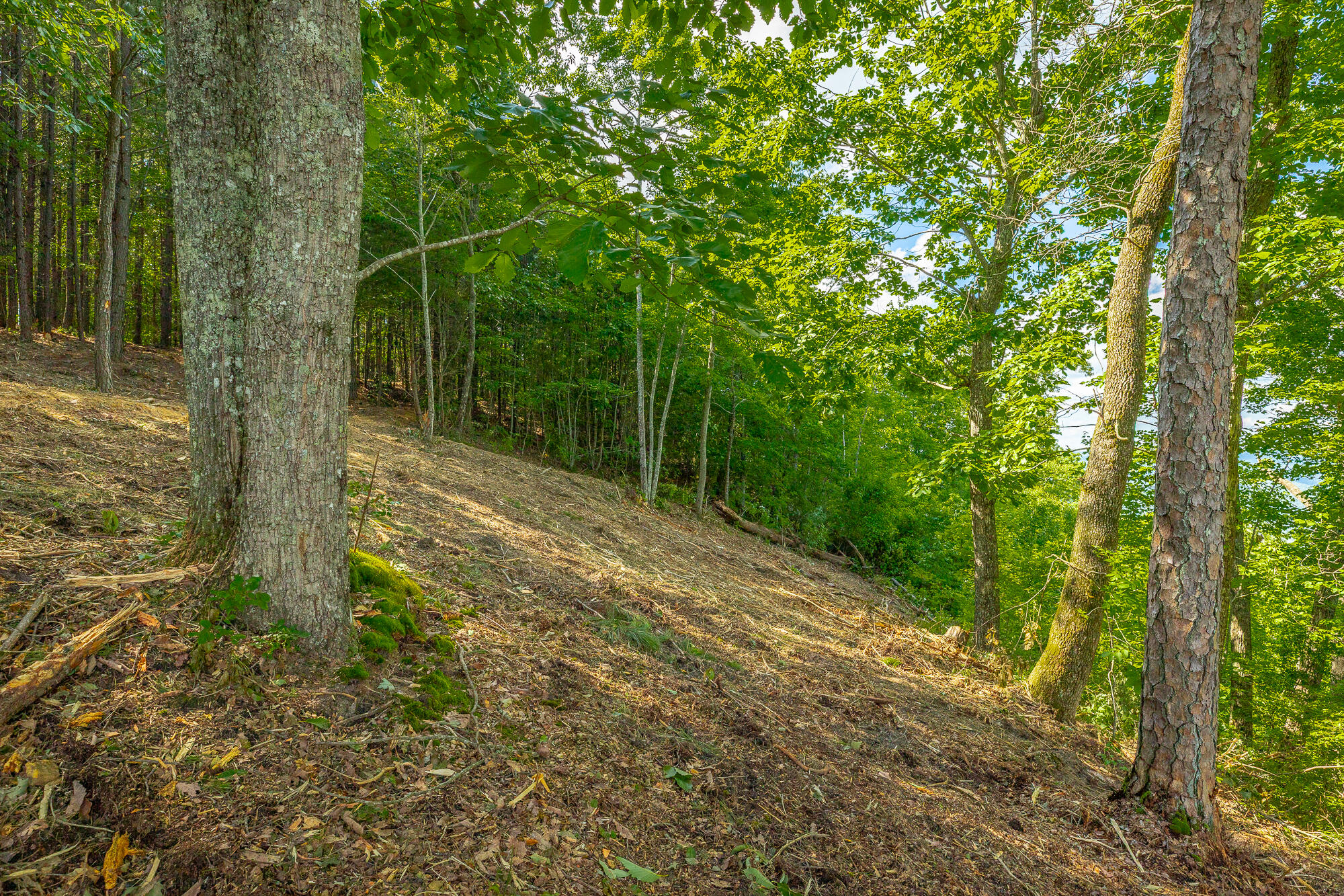 0 Back Basin Trail, Unit LOT 1244 Chattanooga, TN 37419 - Photo 31 of 119 MCW Correction HD-31