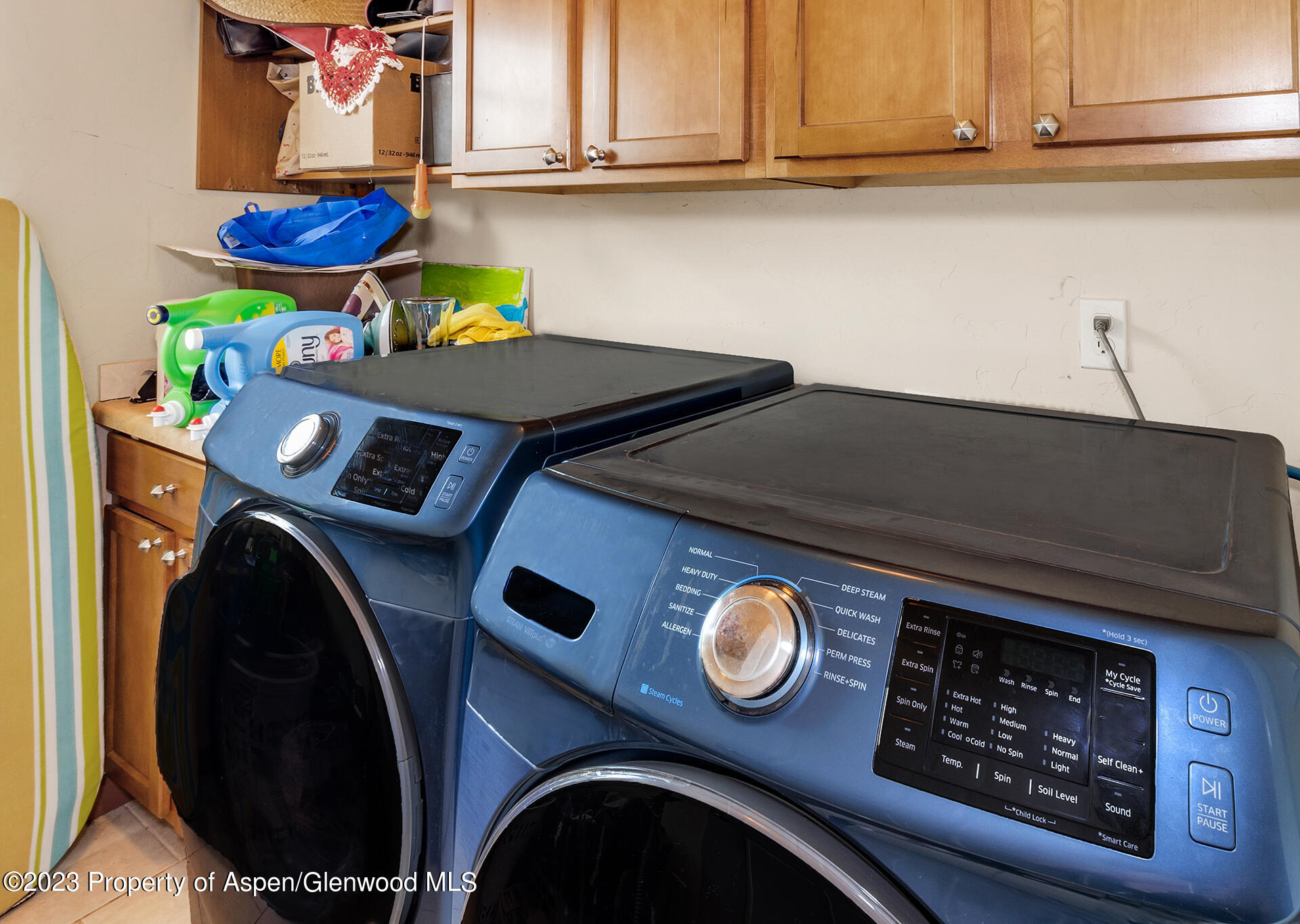 1835 Anvil Court Rifle, CO 81650 - Photo 20 of 23 Laundry Room