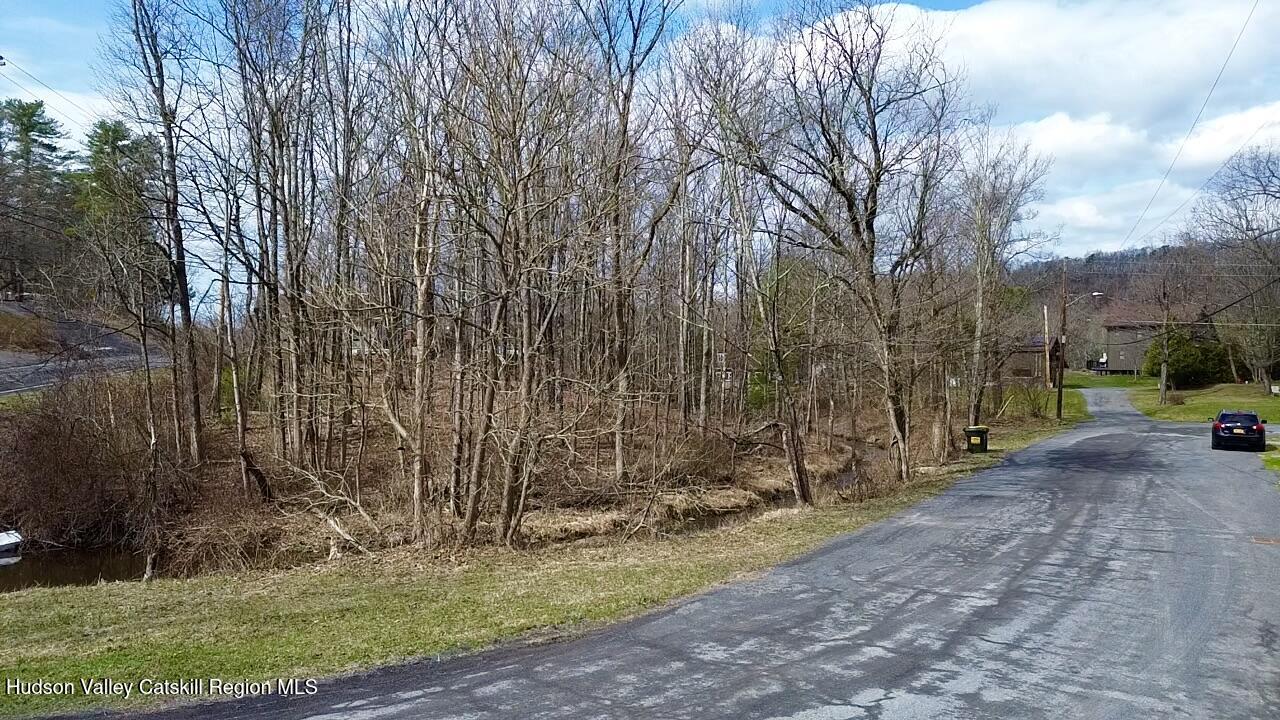 1831 Highway 213 Rifton, NY 12471 - Photo 4 of 7 image10
