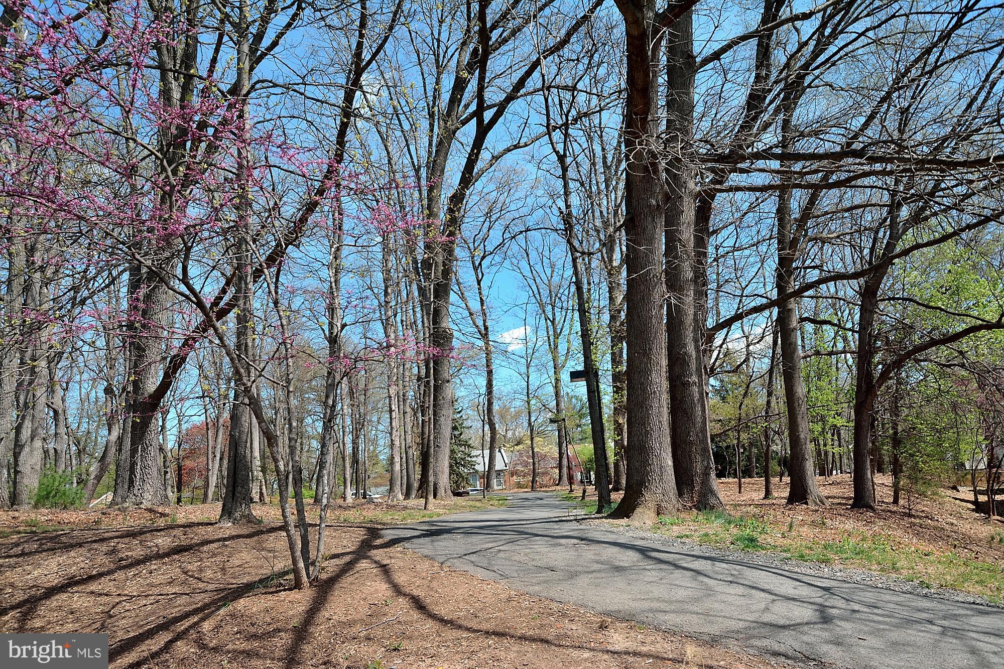 1715 Ascot Way, Unit D Reston, VA 20190 - Photo 22 of 36 Treed walking area view from your balcony