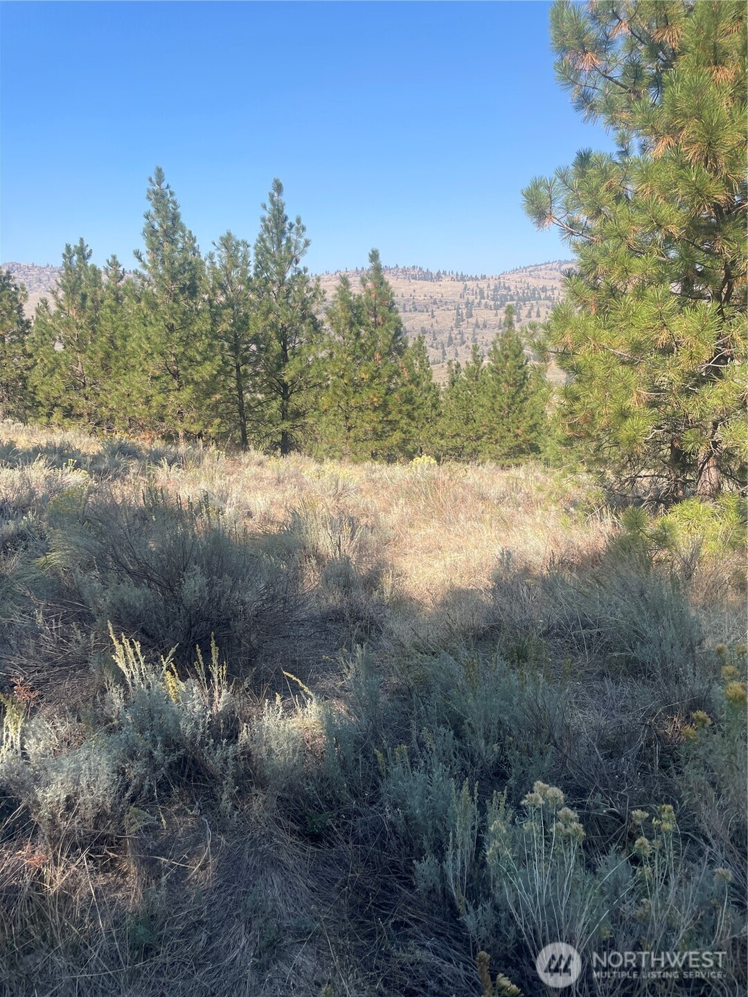 -tbd Reevas Basin Road Tonasket, WA 98855 - Photo 28 of 38