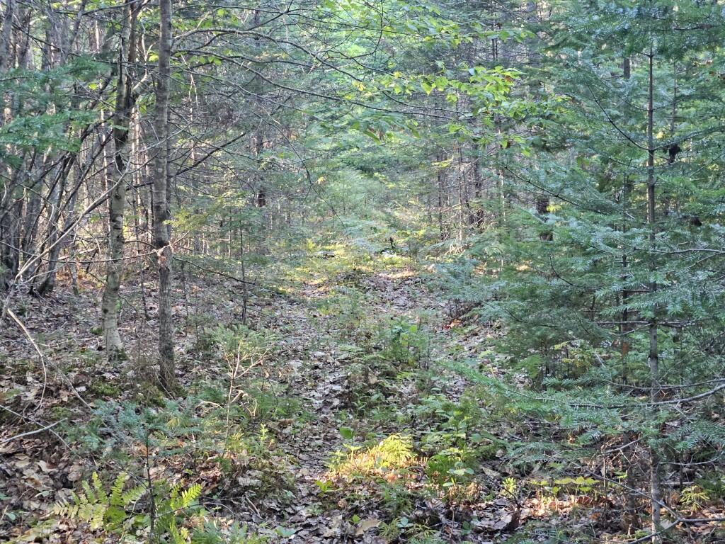 M11-l1 Wilder Davis Road Hudson, ME 04449 - Photo 44 of 53 20260907_170618
