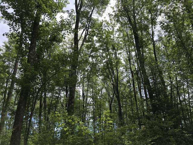 148-ac Sunset Point Road Tomahawk, WI 54487 - Photo 2 of 23 Gallery Image 2