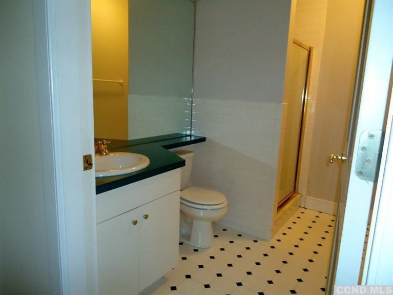 974 Old Post Road Kinderhook, NY 12106 - Photo 10 of 10 a bathroom with a sink a toilet and shower curtain