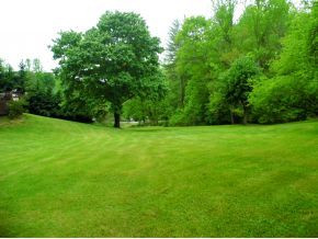 1418 Greggs Branch Road Butler, TN 37640 - Photo 14 of 17 Yard