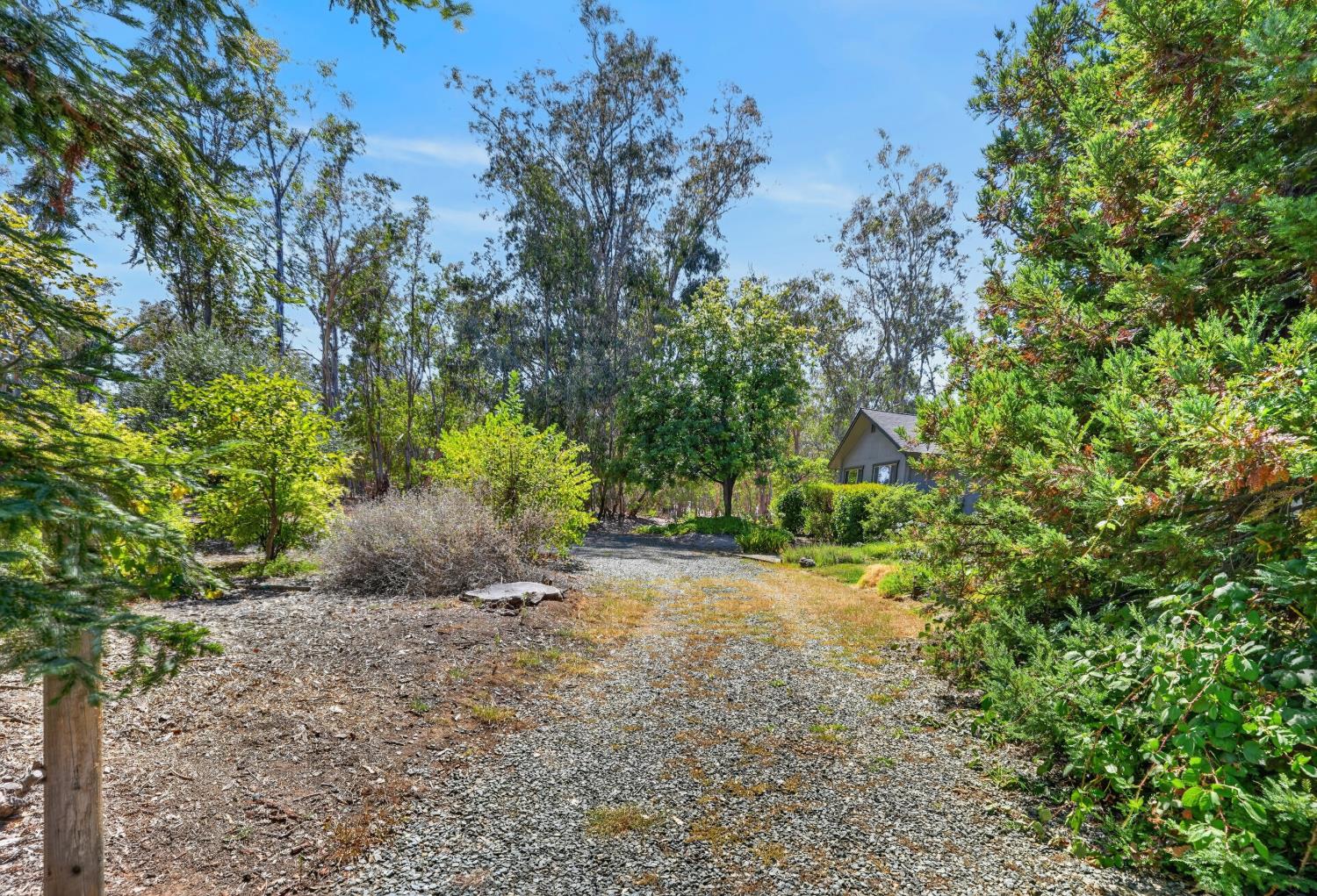 13491 Borden Road Herald, CA 95638 - Photo 43 of 49 Gallery Image 43