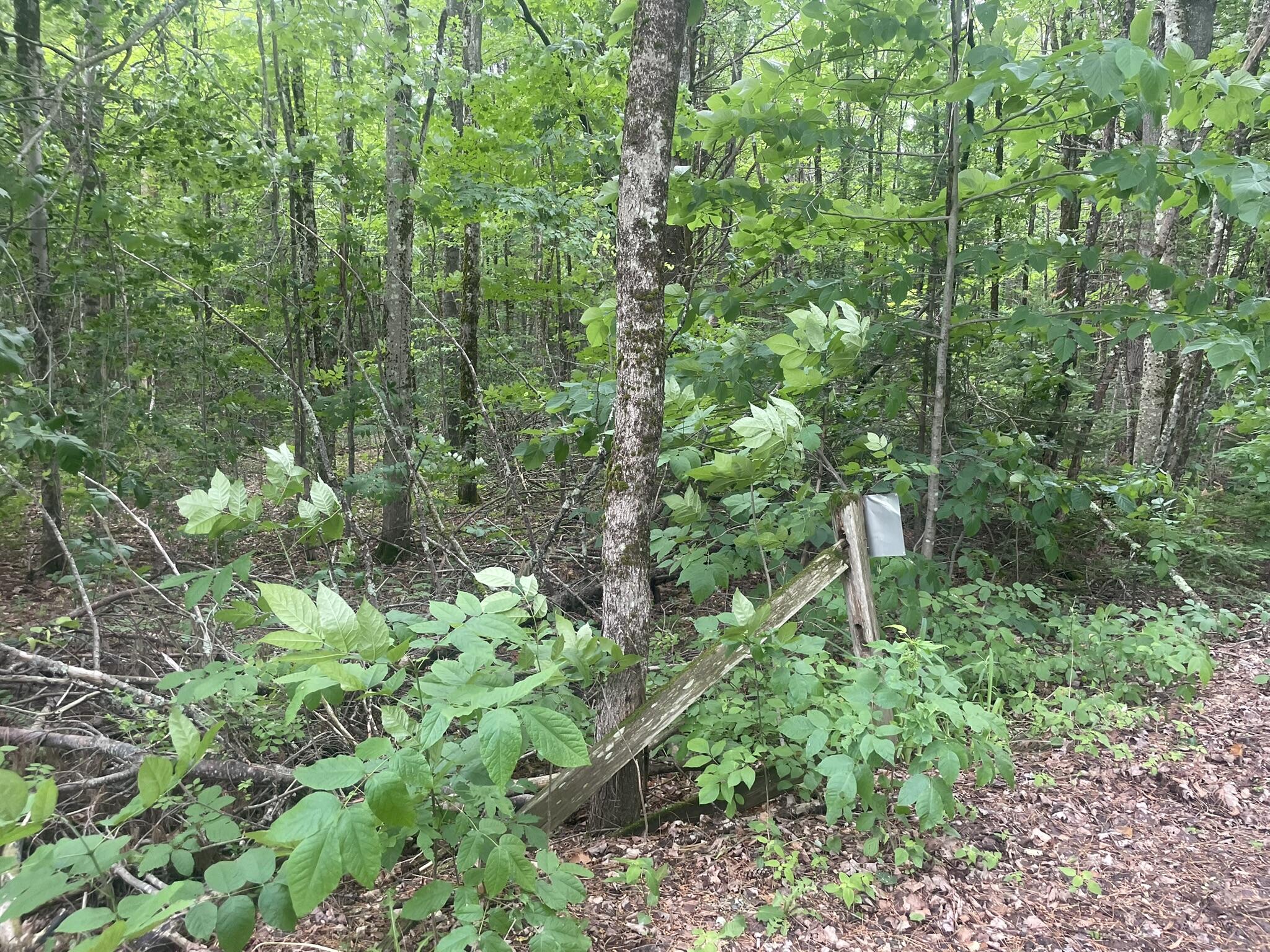 1075 Hill Road Clinton, ME 04927 - Photo 165 of 172 IMG_6268