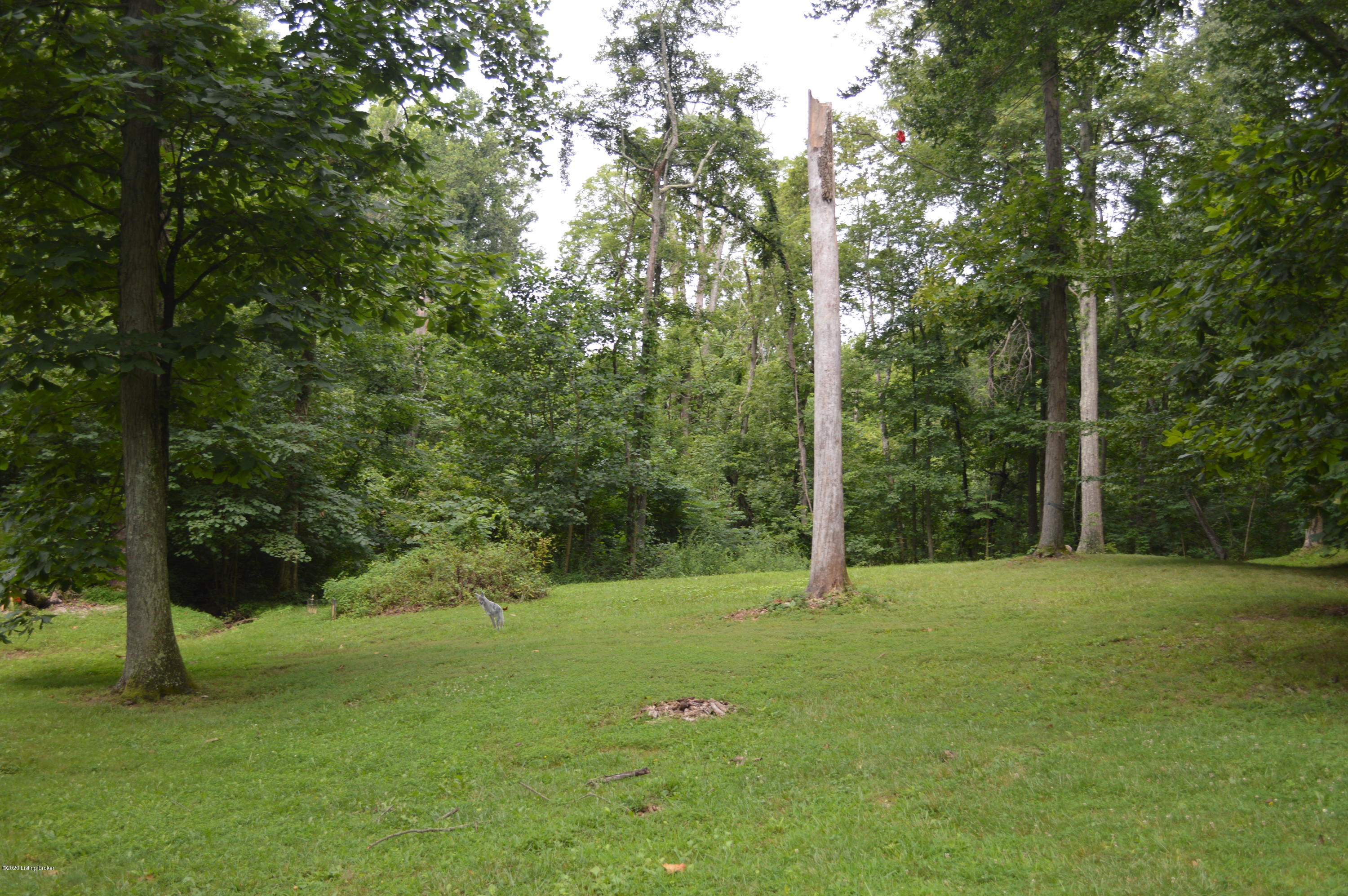 468 Garriott Road Bedford, KY 40006 - Photo 38 of 42 DSC_0195