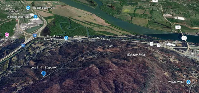 a view of banana tree