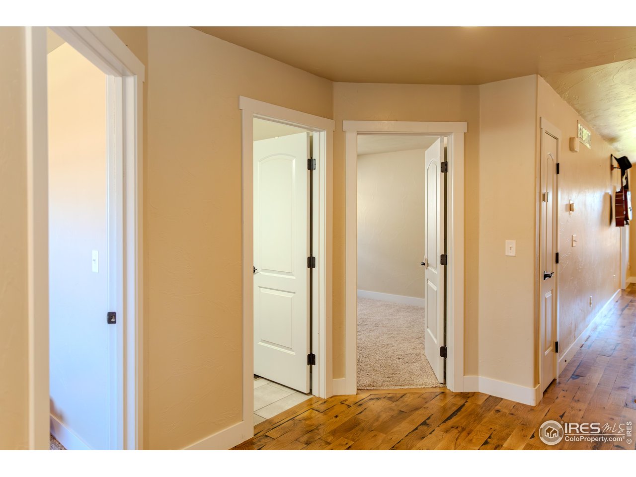 1111 Bison Way Wiggins, CO 80654 - Photo 13 of 41