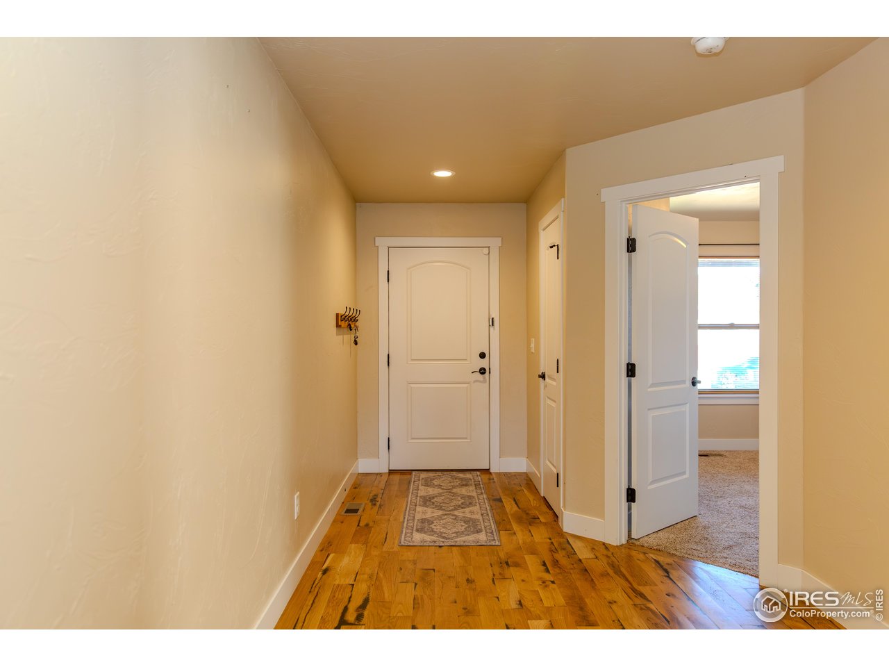 1111 Bison Way Wiggins, CO 80654 - Photo 14 of 41 Foyer Front Door