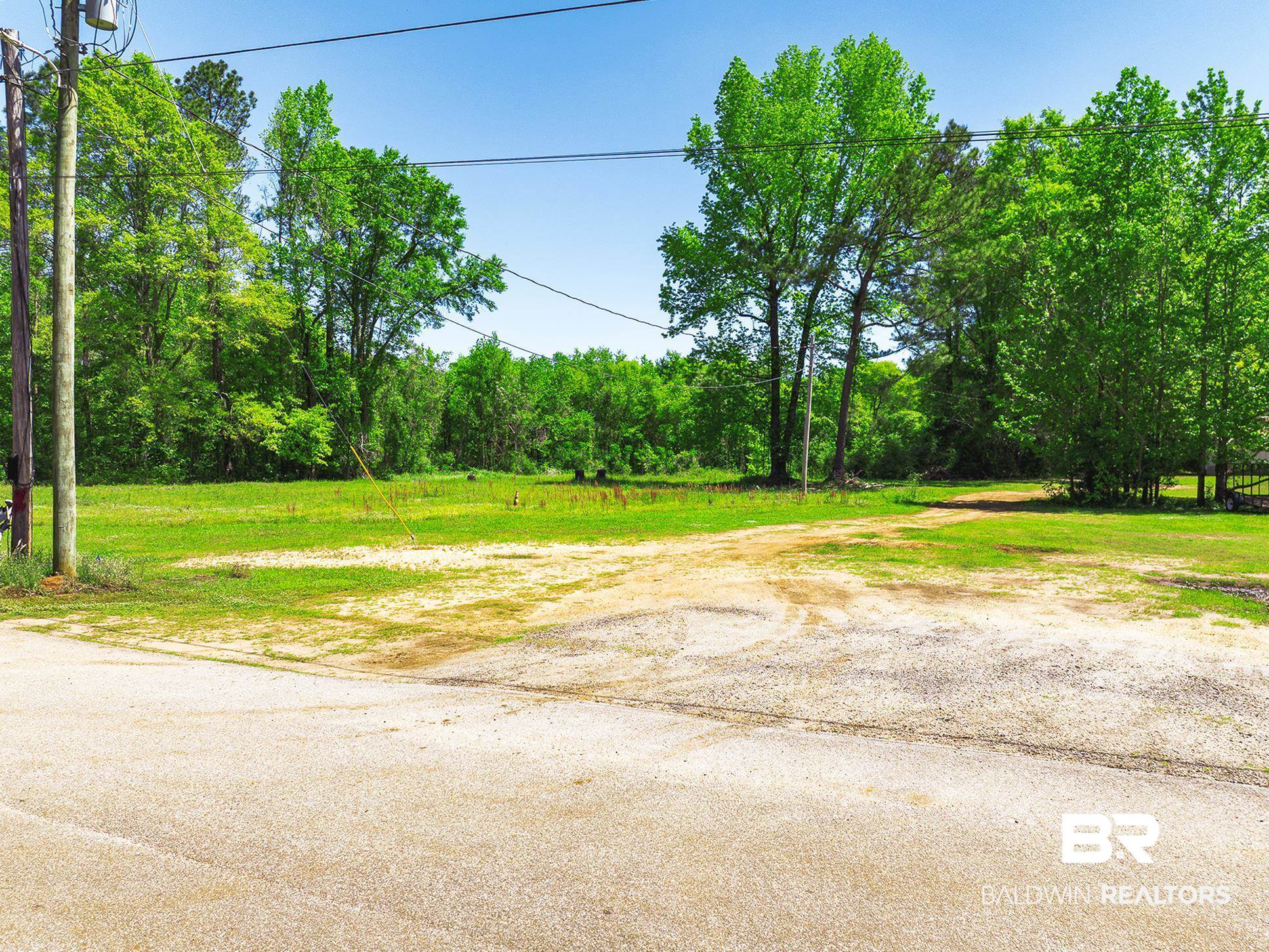0 Factory Street Evergreen, AL 36401 - Photo 7 of 9 View of asphalt road