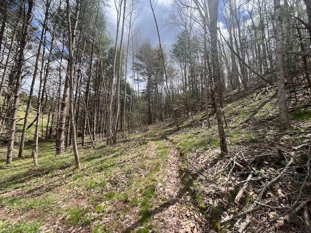 15.01-ac Pine Run Road, Unit 115110A Draper, VA 24324 - Photo 28 of 57 Gallery Image 28
