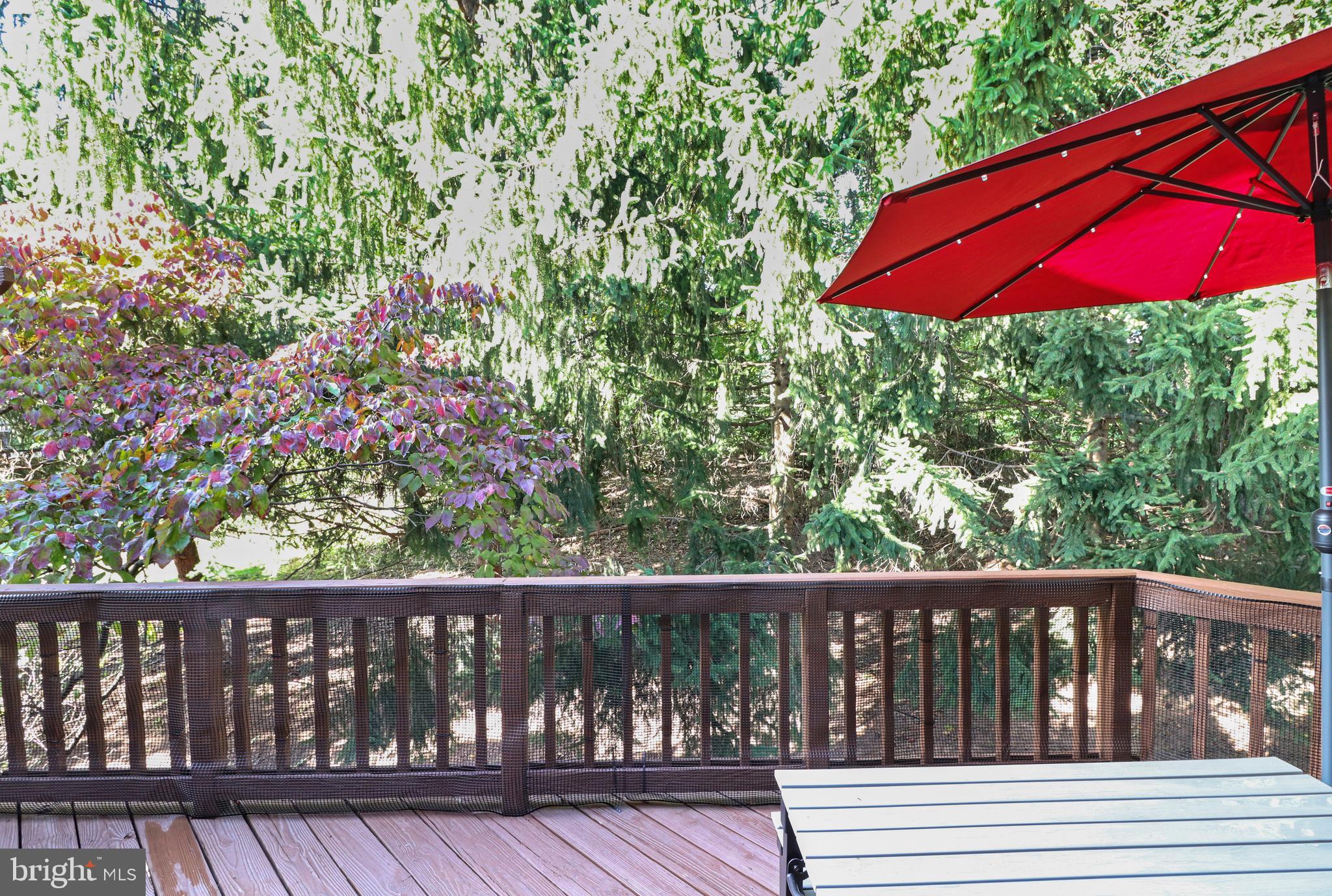 3797 Inverness Road Fairfax, VA 22033 - Photo 33 of 33 Gallery Image 33