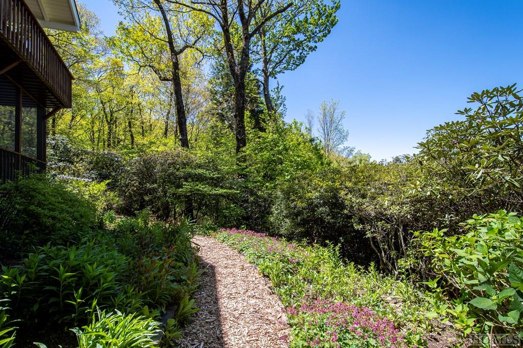 311 Queen Mountain Road Highlands, NC 28741 - Photo 14 of 44 Gallery Image 14