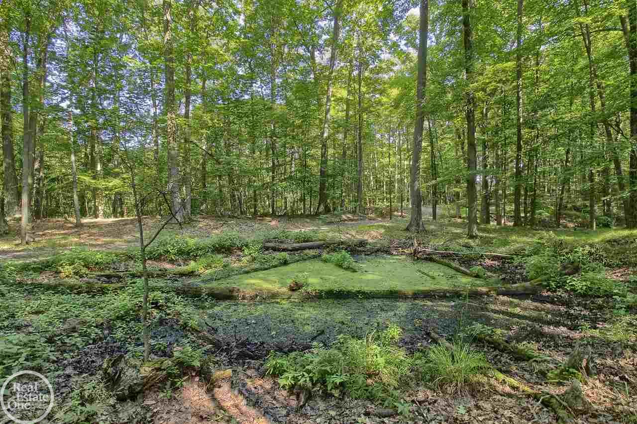 4848 Hough Road Dryden, MI 48428 - Photo 28 of 76